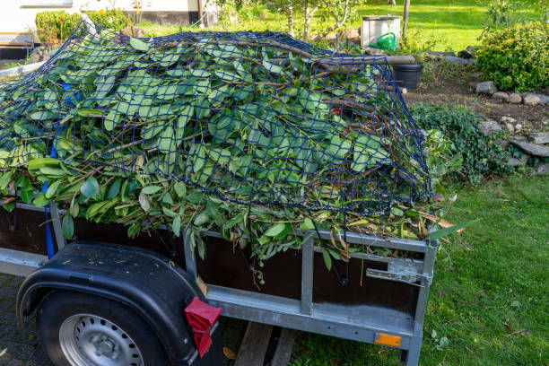 Best Yard Waste Removal  in East Providence, RI